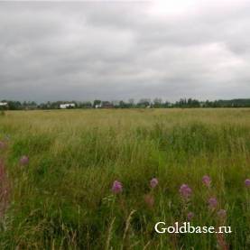 Участок сельхозназначения на продажу.