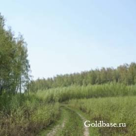 Продам земельный учасок 50 сот