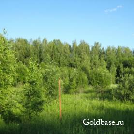 Продам участок 1 га