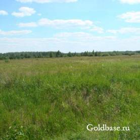 Продажа земли сельскохозяйственного назначения 8-43га