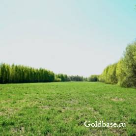 Предлагаем купить участок в коттеджном поселке 6сот.