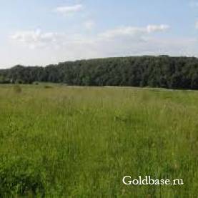 Аренда земли сельхозназначения 11га