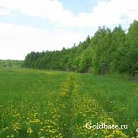 Купить земли сельскохозяйственного назначения купить 10сот.