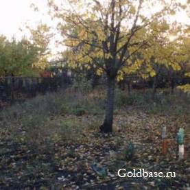 Продажа земли сх назначения 6сот.